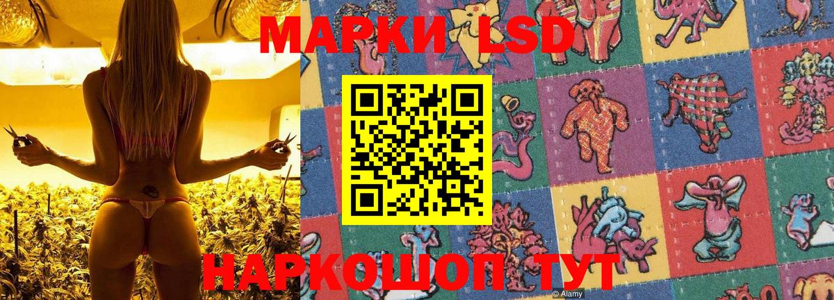 Марки N-bome 1,8мг  купить наркоту  Марки N-bome 1,8мг  Марки 25I-NBOMe  Сальск  Вход с VPN 