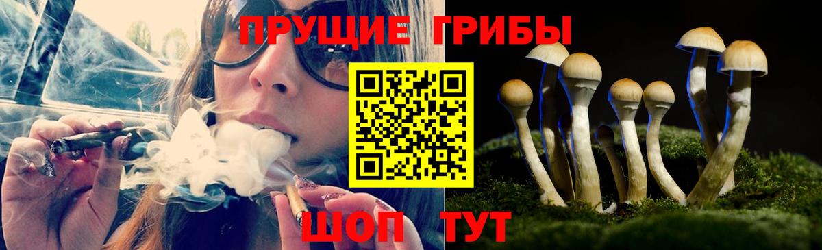 Псилоцибиновые грибы MAGIC MUSHROOMS  купить наркоту  Галлюциногенные грибы мицелий  Сальск  Вход с VPN 